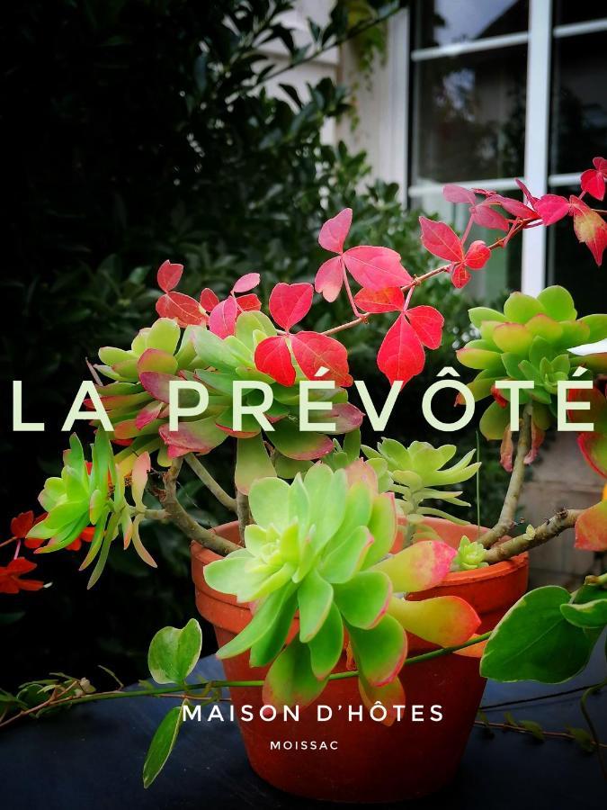 La Prevote Bed & Breakfast Moissac Exterior photo